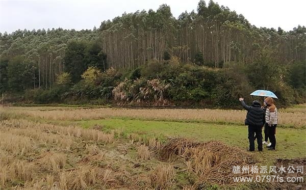 江门市陈老师带着爱徒寻龙点穴